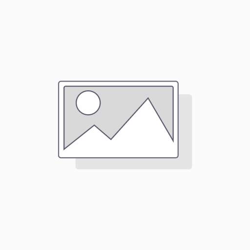 PAUT A1 Series COD Wedges for A1 Probe Series 